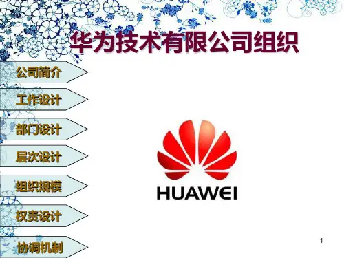 组织结构分析 PPT课件