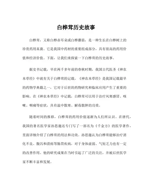 白桦茸历史故事