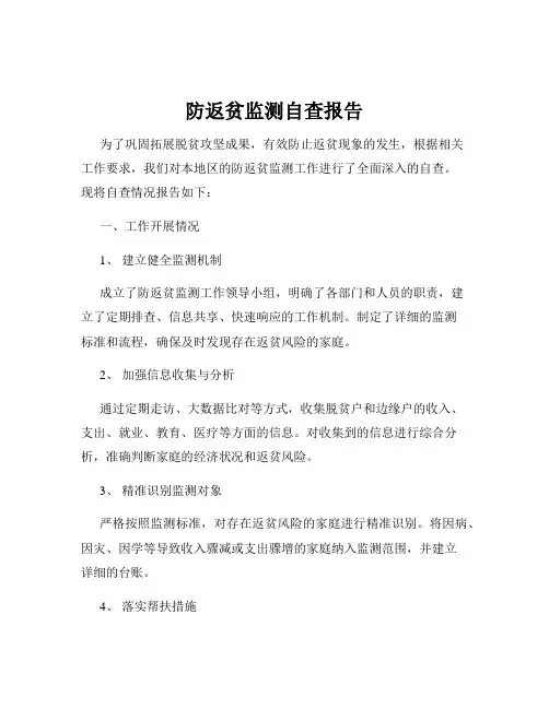 防返贫监测自查报告