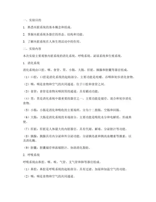 内脏系统实验报告