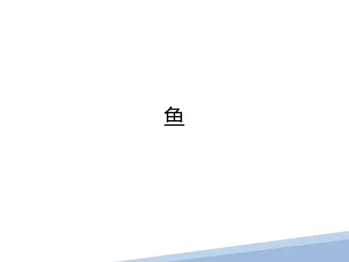     鱼