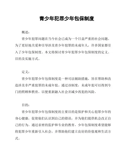 青少年犯罪少年包保制度
