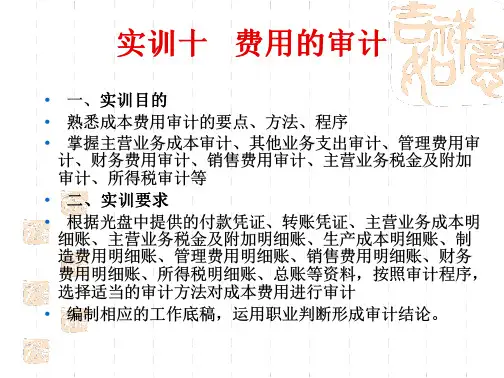 《审计基础模拟实训(第三版)》实训十费用