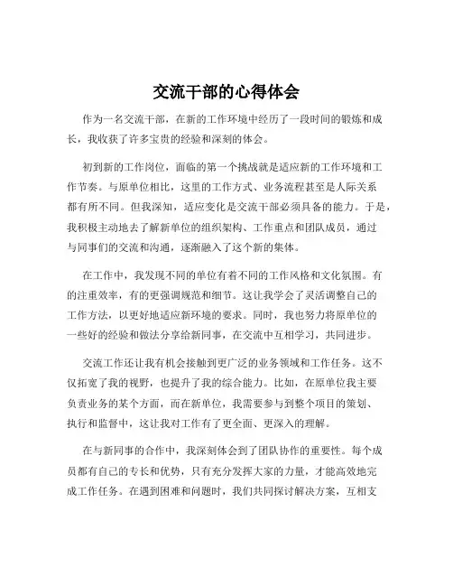 交流干部的心得体会