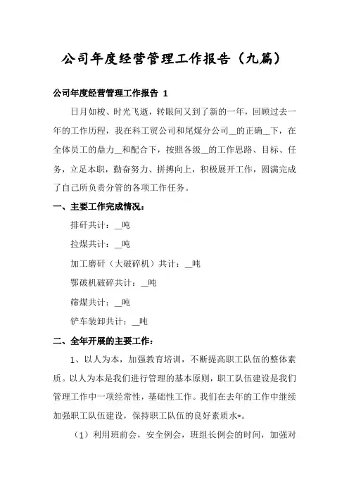 公司年度经营管理工作报告(九篇)