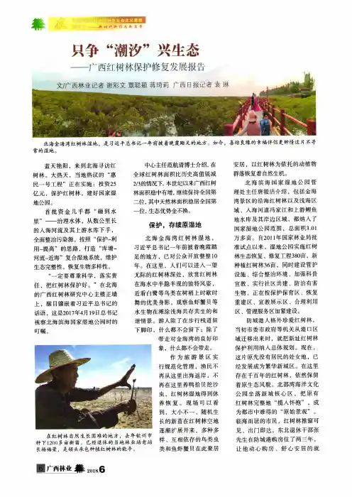 只争“潮汐”兴生态——广西红树林保护修复发展报告