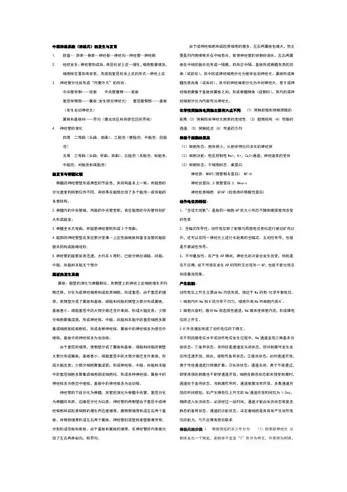 中枢神经系统