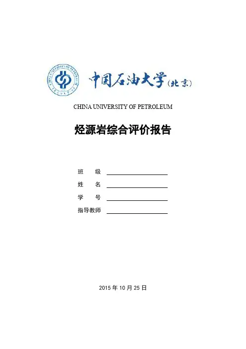 烃源岩综合评价报告