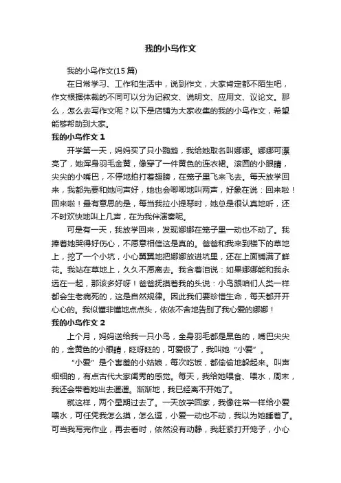 我的小鸟作文