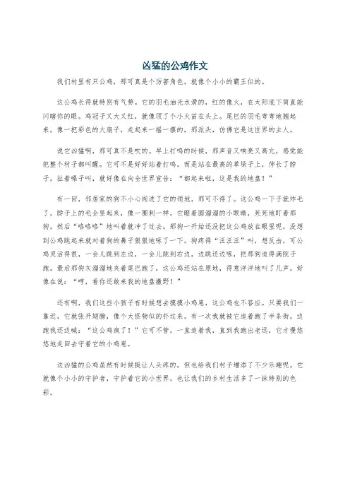 凶猛的公鸡作文