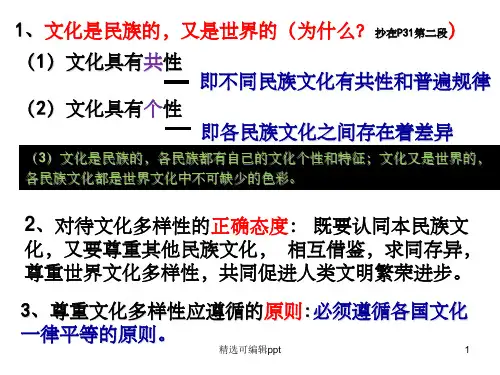 文化在交流中传播.ppt