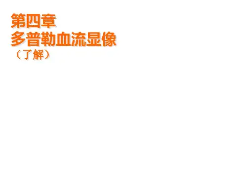 多普勒血流现象-PPT