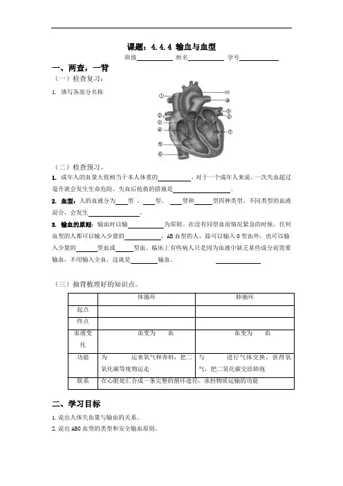 输血与血型 导学案