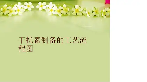 干扰素制备的工艺流程图