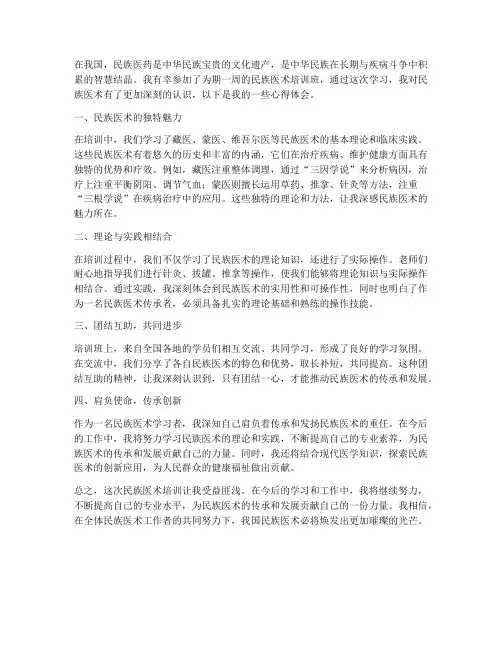 民族医术培训心得体会范文