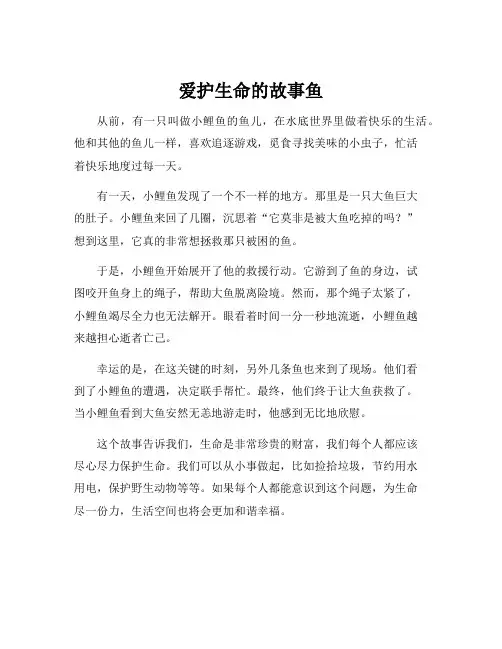 爱护生命的故事鱼