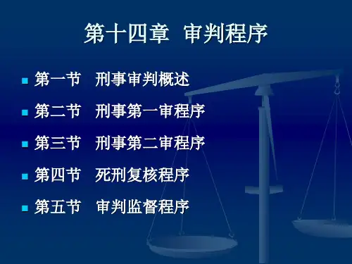 刑事诉讼法  全部讲义 第十四章