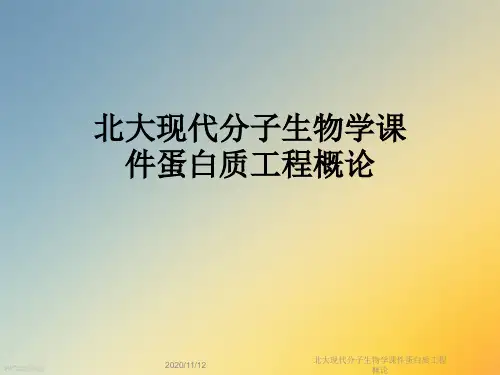 北大现代分子生物学课件蛋白质工程概论