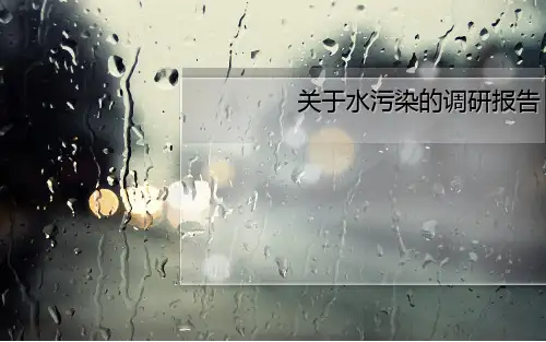 自贡水污染调查报告