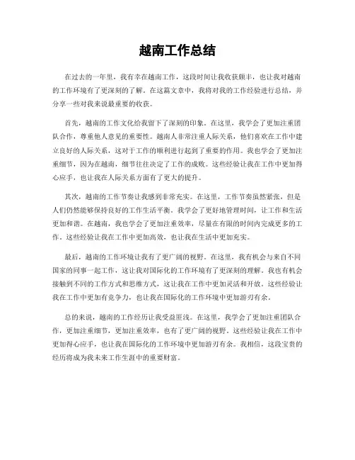 越南工作总结