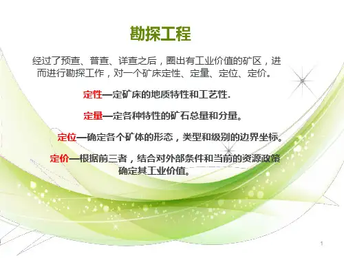 勘探线布置PPT课件