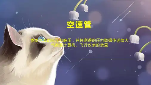 空速管    