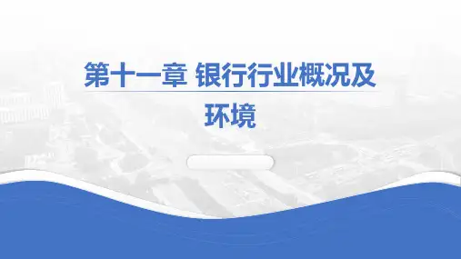 商业分析实务 第十一章银行行业概况及环境 教学PPT课件