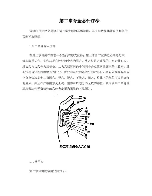 第二掌骨全息针疗法