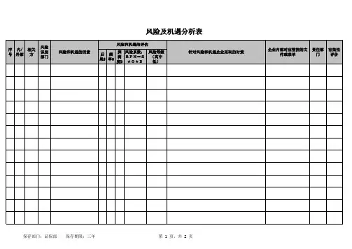 风险及机遇分析表