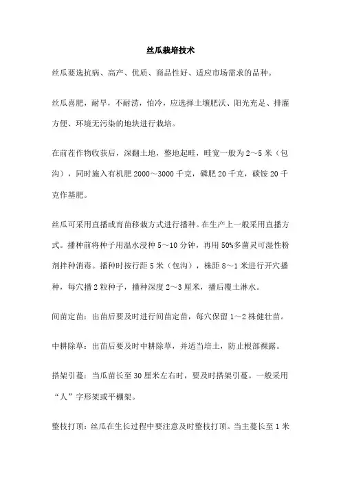 丝瓜栽培技术 