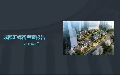 成都汇锦街商业考察报告