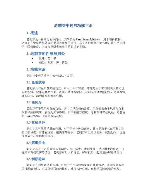 老刺芽中药的功能主治