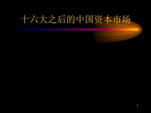 十六大之后的中国资本市场(PPT 54)(1)