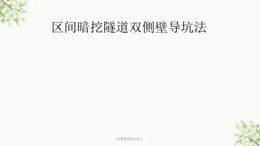双侧壁导坑法施工课件