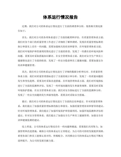 体系运行情况报告