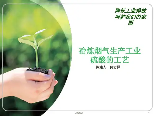 冶炼烟气生产工业硫酸(何志祥)PPT课件