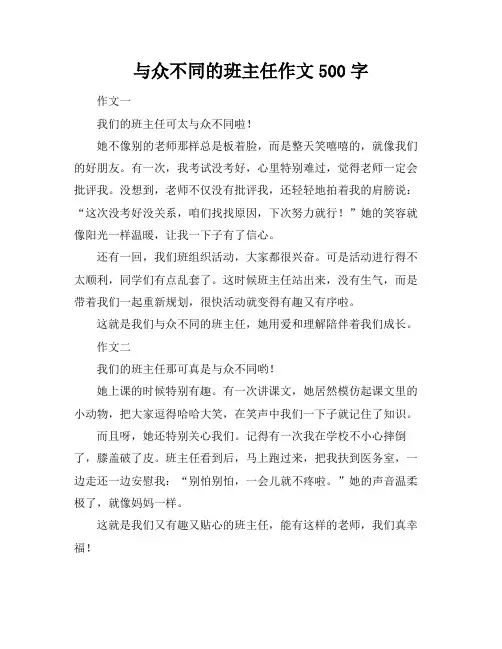 与众不同的班主任作文500字