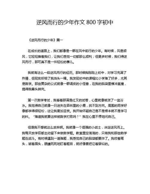 逆风而行的少年作文800字初中