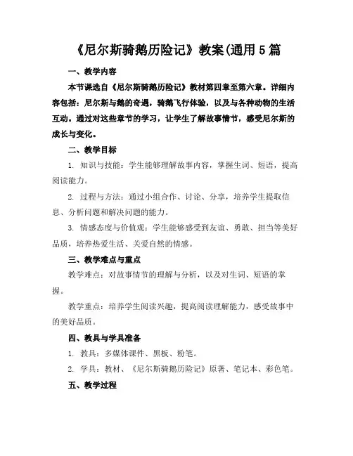 《尼尔斯骑鹅历险记》教案(通用5篇
