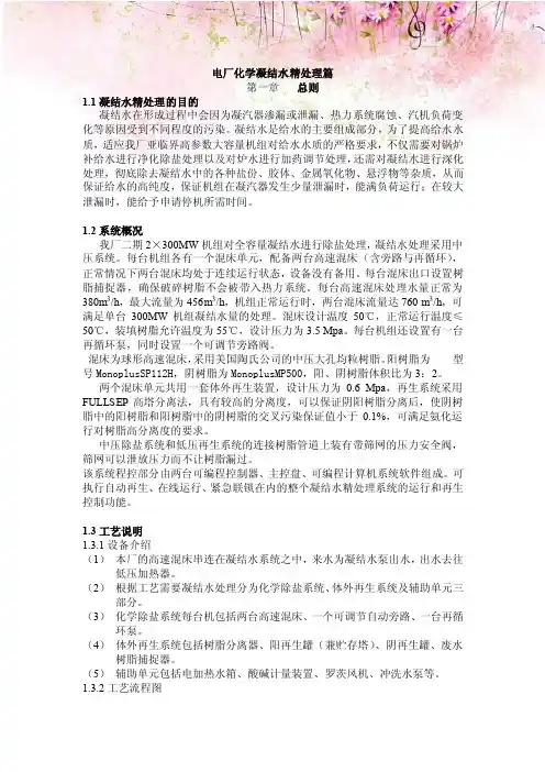 电厂化学凝结水精处理篇