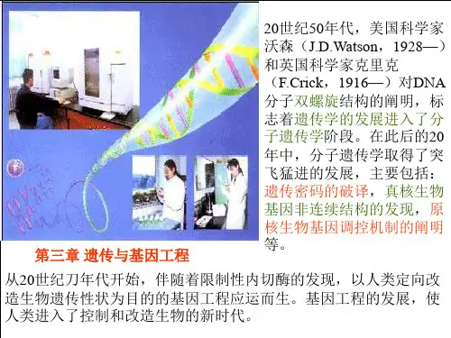 遗传与基因工程ppt5 人教版最新优选公开课件