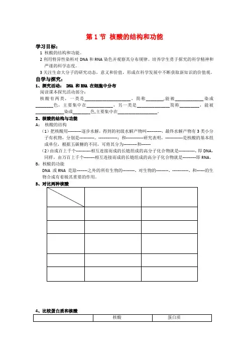 高中生物2.2.1 核酸的结构和功能 学案 中图版必修1