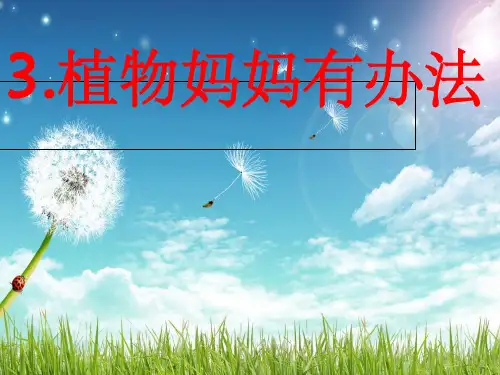 人教版语文二年级《植物妈妈有办法》课件八