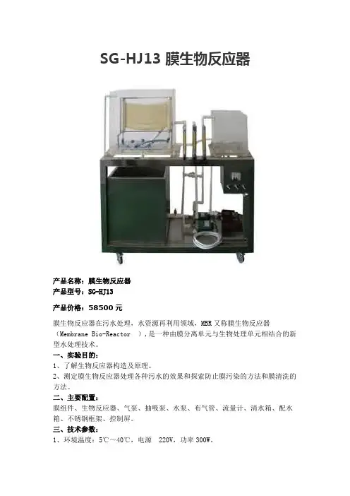 SG-HJ13 膜生物反应器