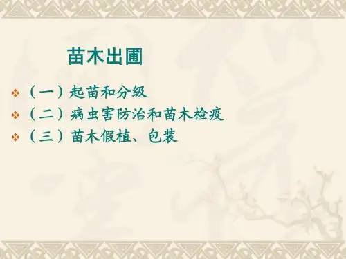 苗木出圃
