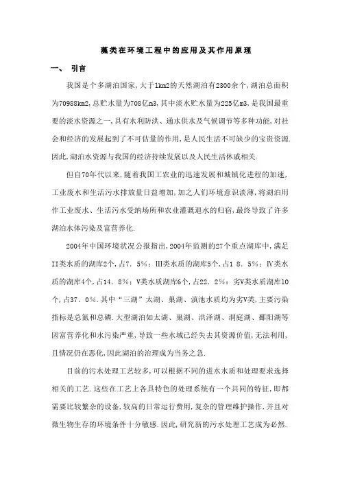 藻类在环境污染治理中的应用及其作用原理