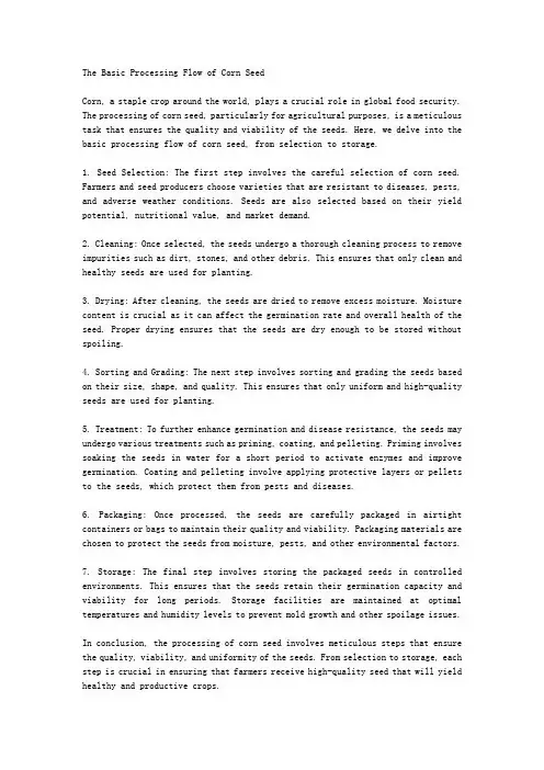 玉米种子加工的基本流程