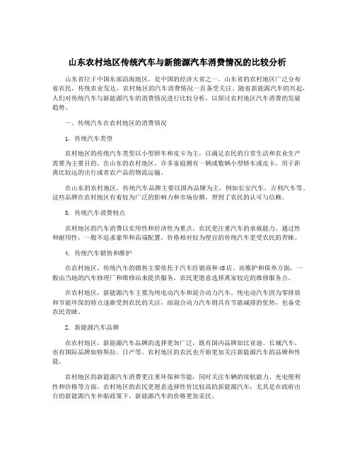 山东农村地区传统汽车与新能源汽车消费情况的比较分析