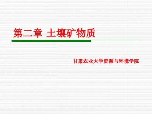 土壤矿物质