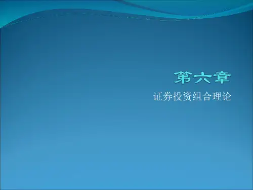 投资学证券投资组合